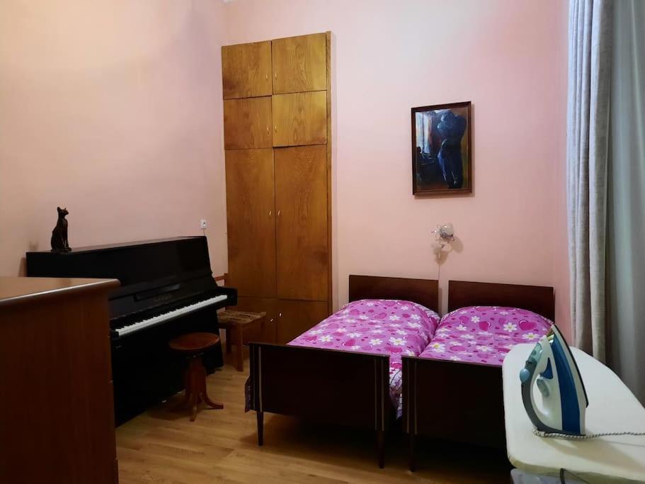 Nataly Apartament-Old Tbilisi Center Extérieur photo